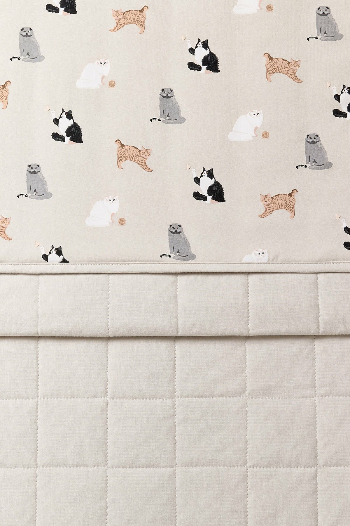 Kyte Baby Youth Blanket in Fluffy Cat 1.0