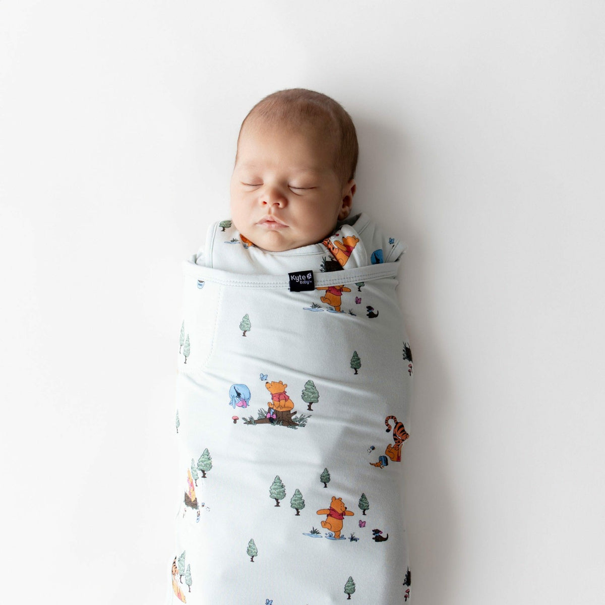 Kyte Baby Sleep Bag Swaddler in Winnie the Pooh Hundred Acre Wood 1.0