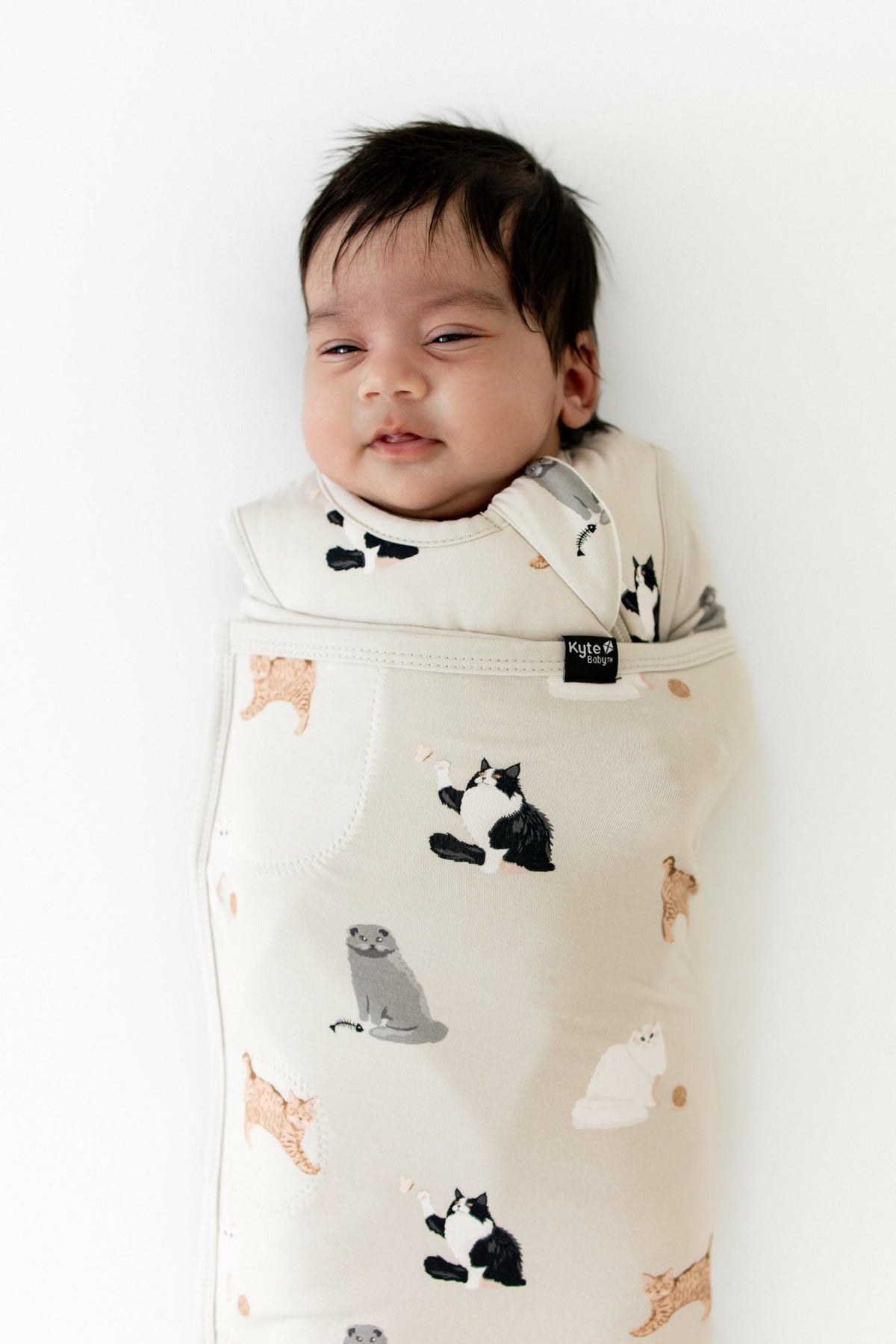 Kyte Baby Sleep Bag Swaddler in Fluffy Cat 1.0