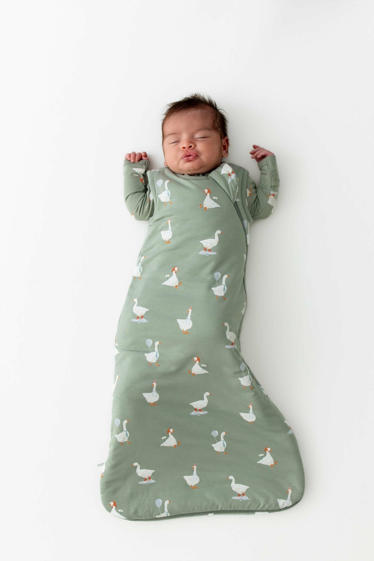 Kyte Baby Sleep Bag in Silly Goose 1.0 TOG