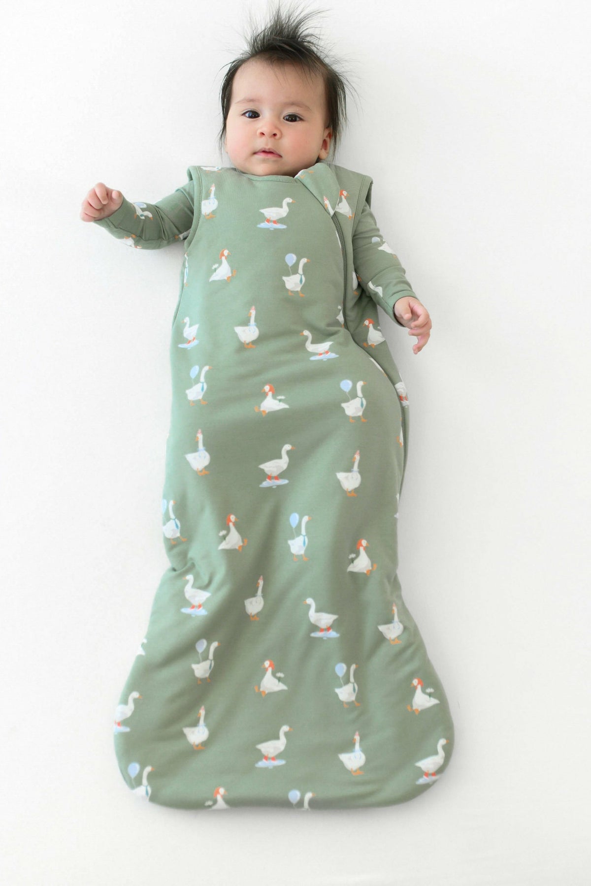 Kyte Baby Sleep Bag in Silly Goose 1.0 TOG