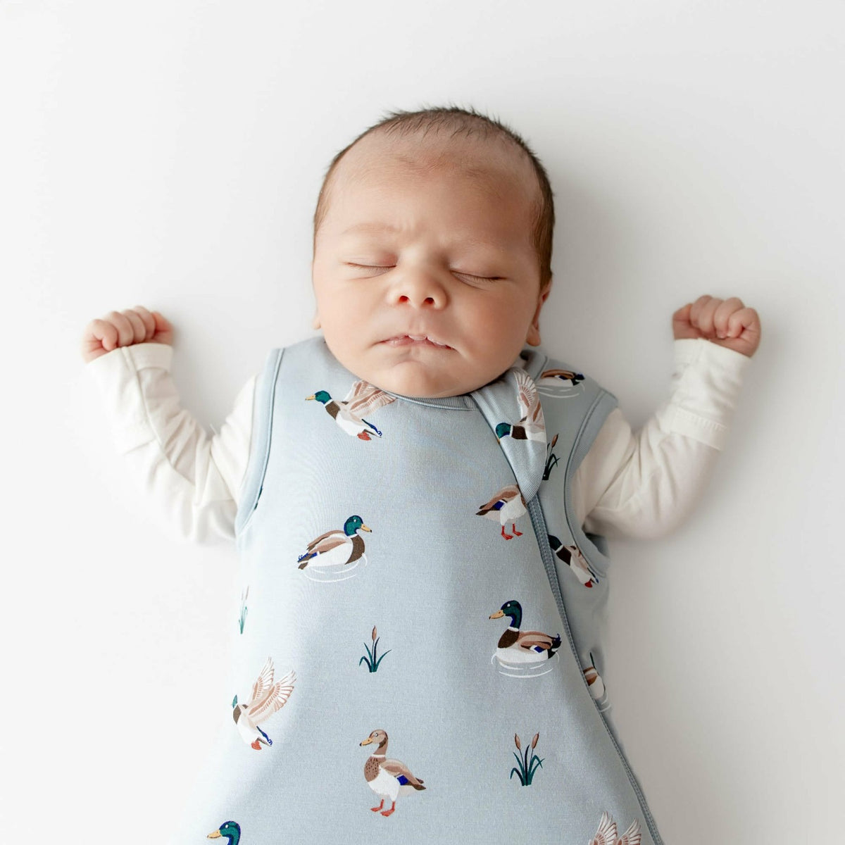 Kyte Baby Sleep Bag in Mallard Duck 1.0