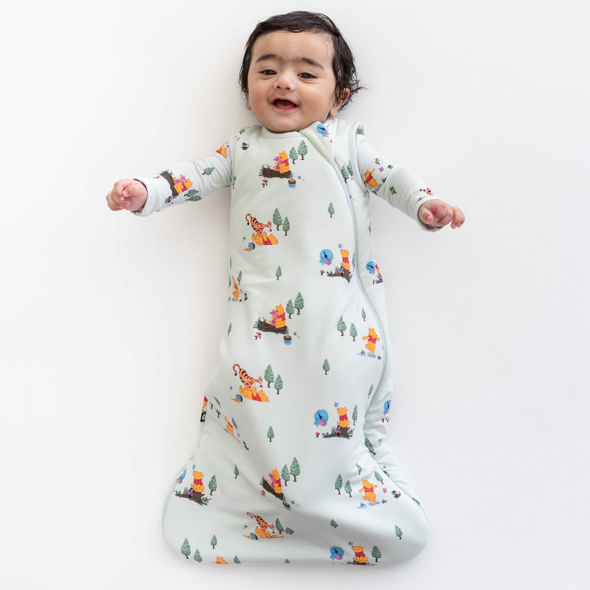 Kyte Baby Sleep Bag in Winnie the Pooh Hundred Acre Wood 1.0