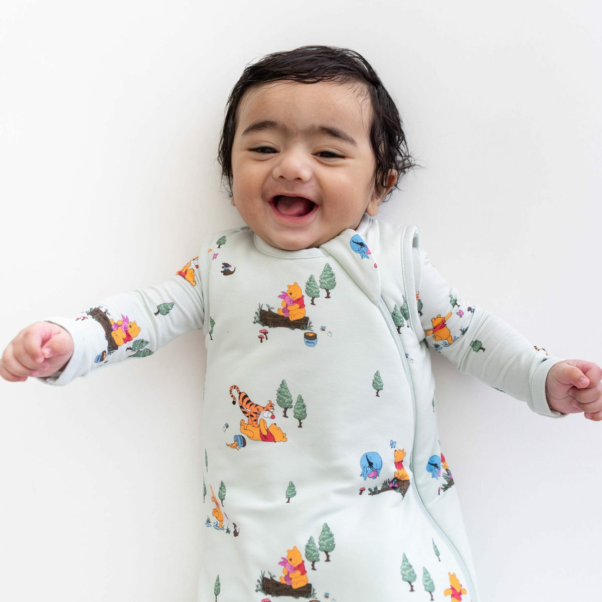 Kyte Baby Sleep Bag in Winnie the Pooh Hundred Acre Wood 1.0