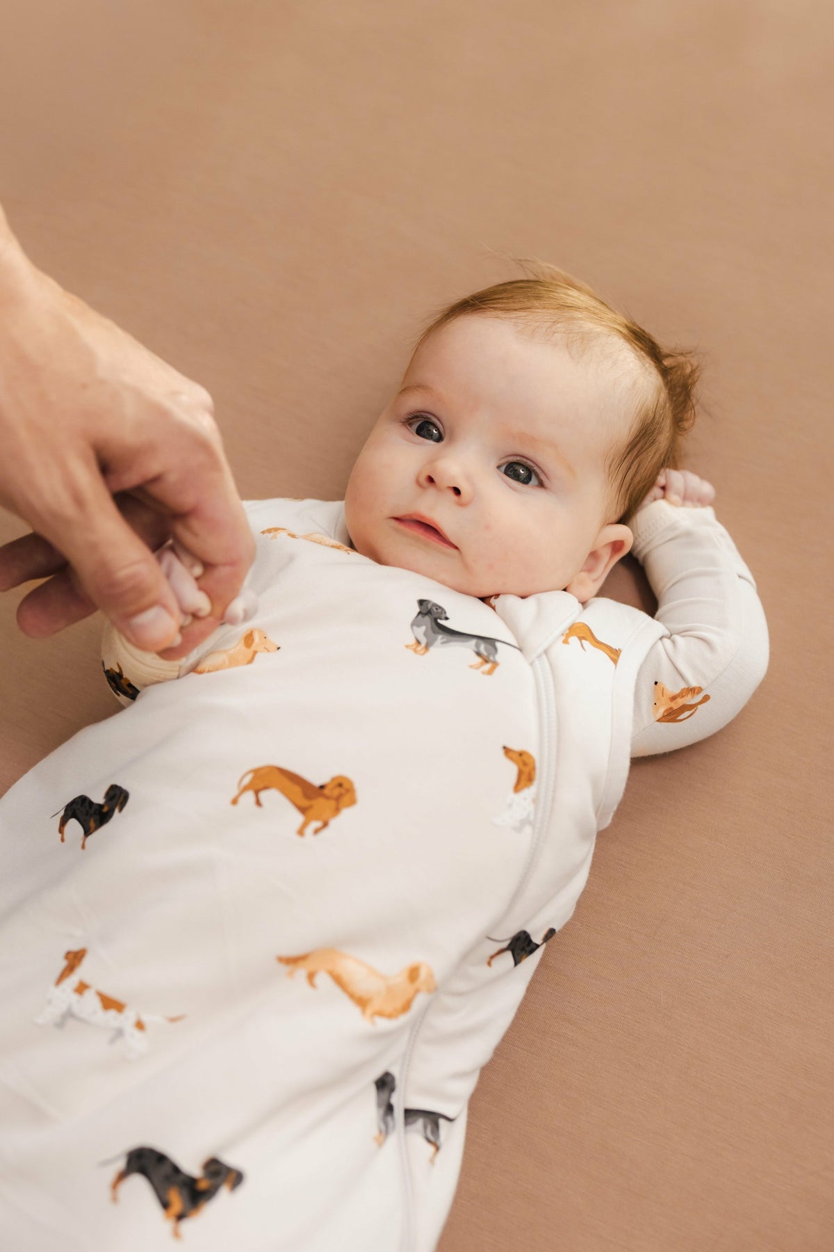 Kyte Baby Sleep Bag in Dachshund 1.0