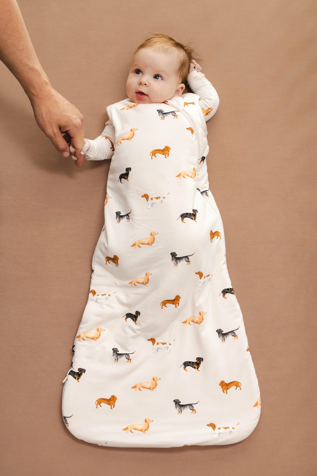 Kyte Baby Sleep Bag in Dachshund 1.0
