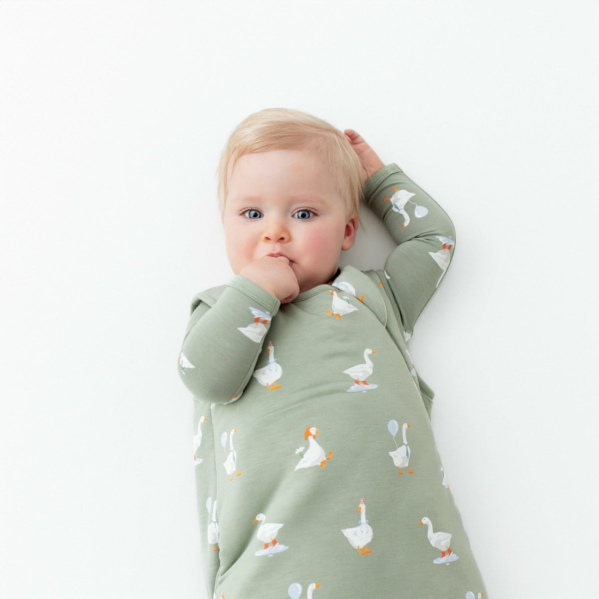 Kyte Baby Sleep Bag in Silly Goose 2.5