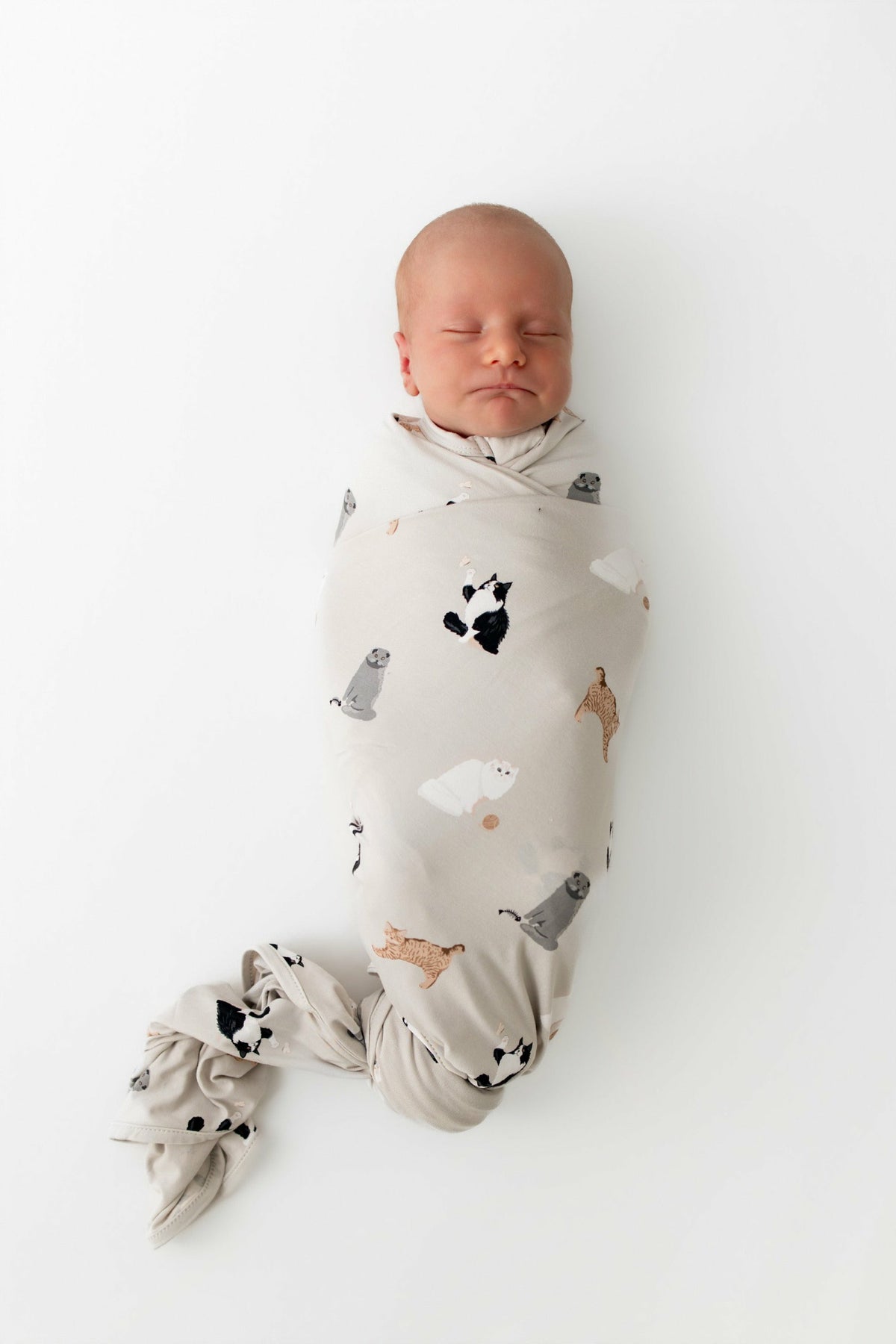 Kyte Baby Swaddle Blanket in Fluffy Cat