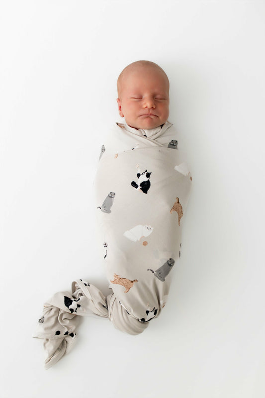 Kyte Baby Swaddle Blanket in Fluffy Cat