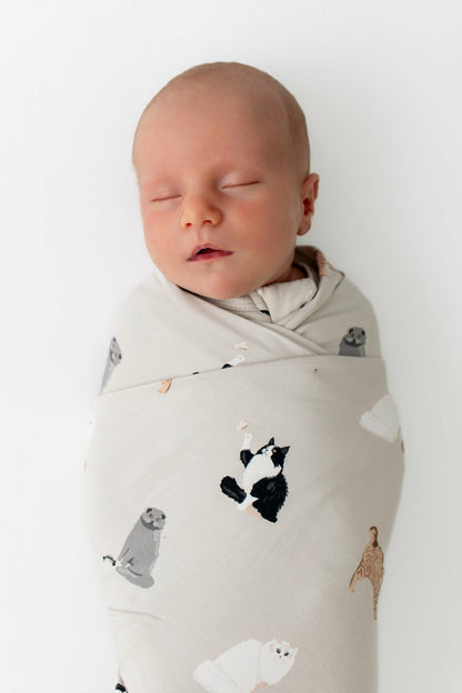 Kyte Baby Swaddle Blanket in Fluffy Cat