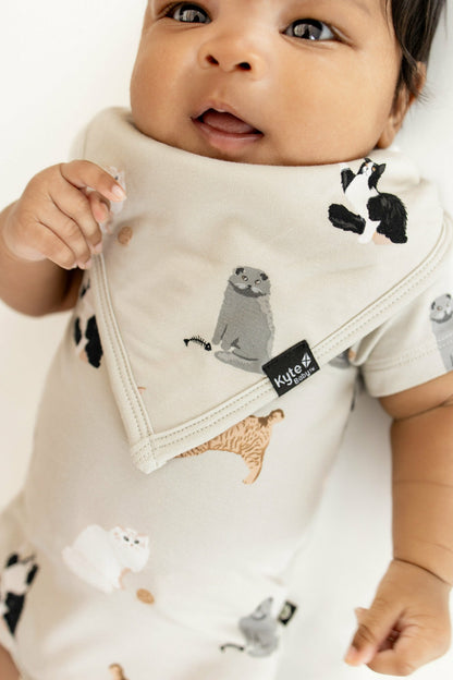 Kyte Baby Bib in Fluffy Cat