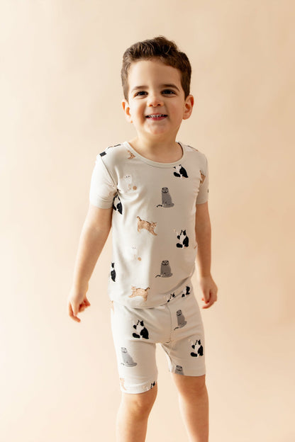 Kyte Baby Short Sleeve Pajamas in Fluffy Cat