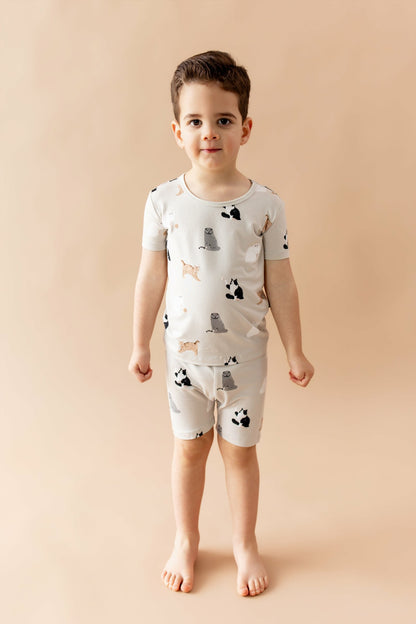 Kyte Baby Short Sleeve Pajamas in Fluffy Cat