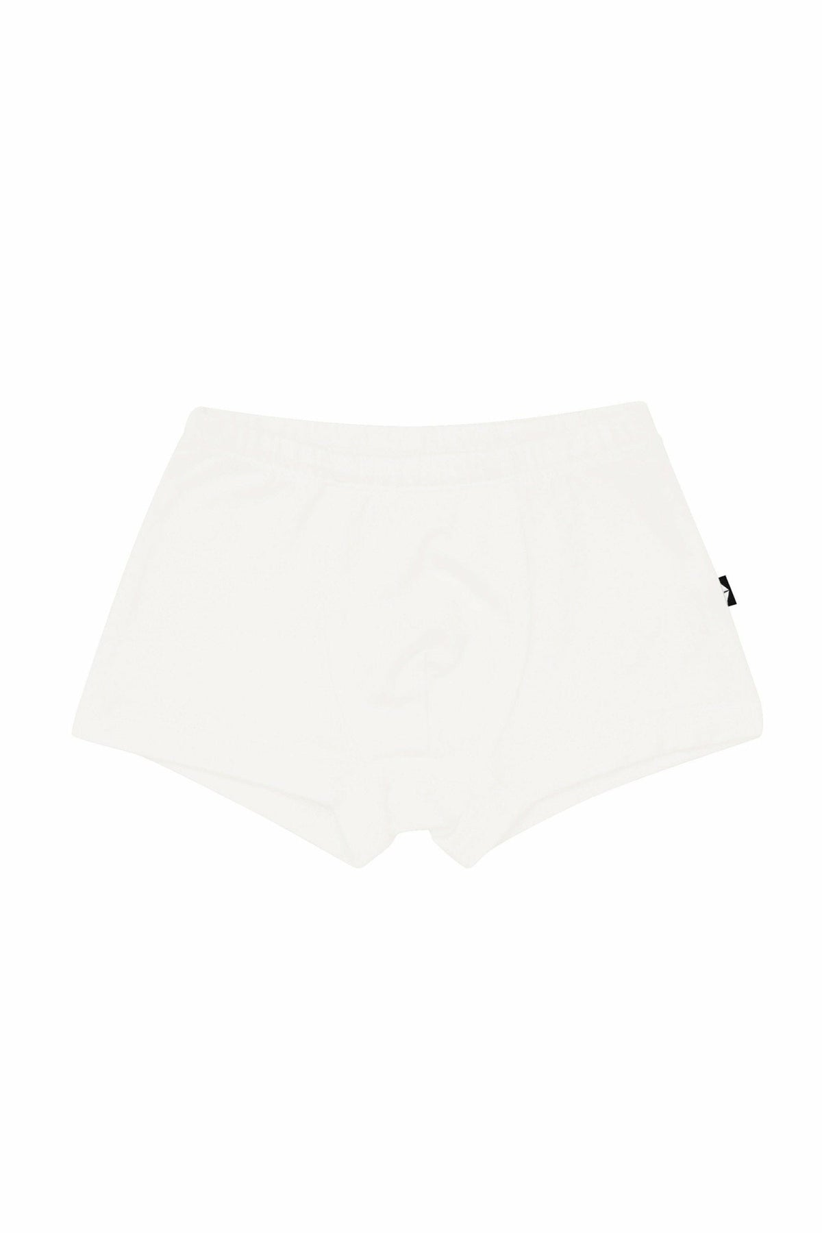 Kyte Baby Chidlren's Briefs in Cloud