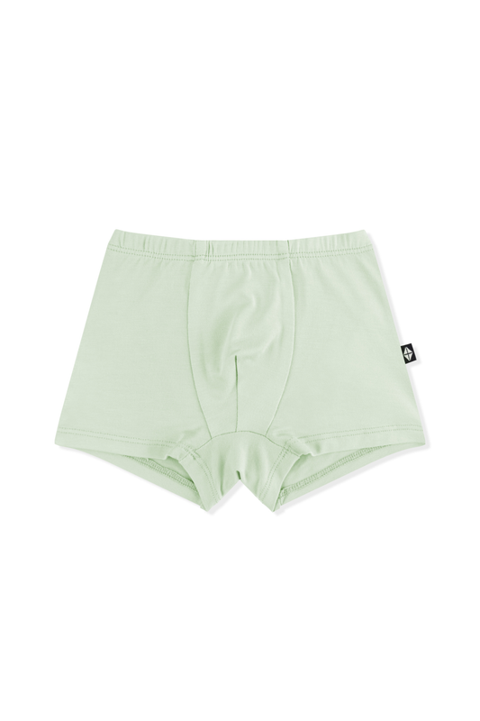 Kyte Baby Briefs in Basil