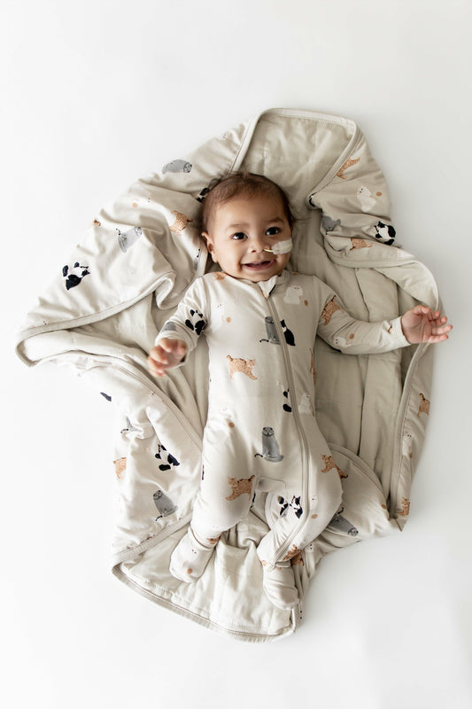 Kyte Baby Baby Blanket in Fluffy Cat