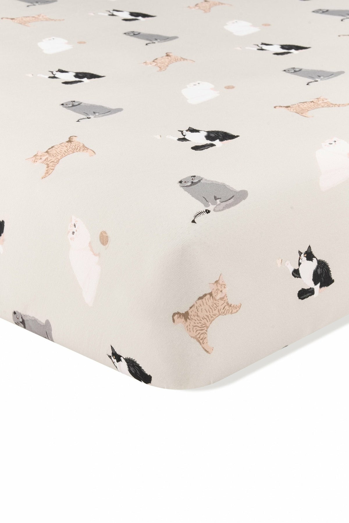 Kyte Baby Twin Sheet in Fluffy Cat