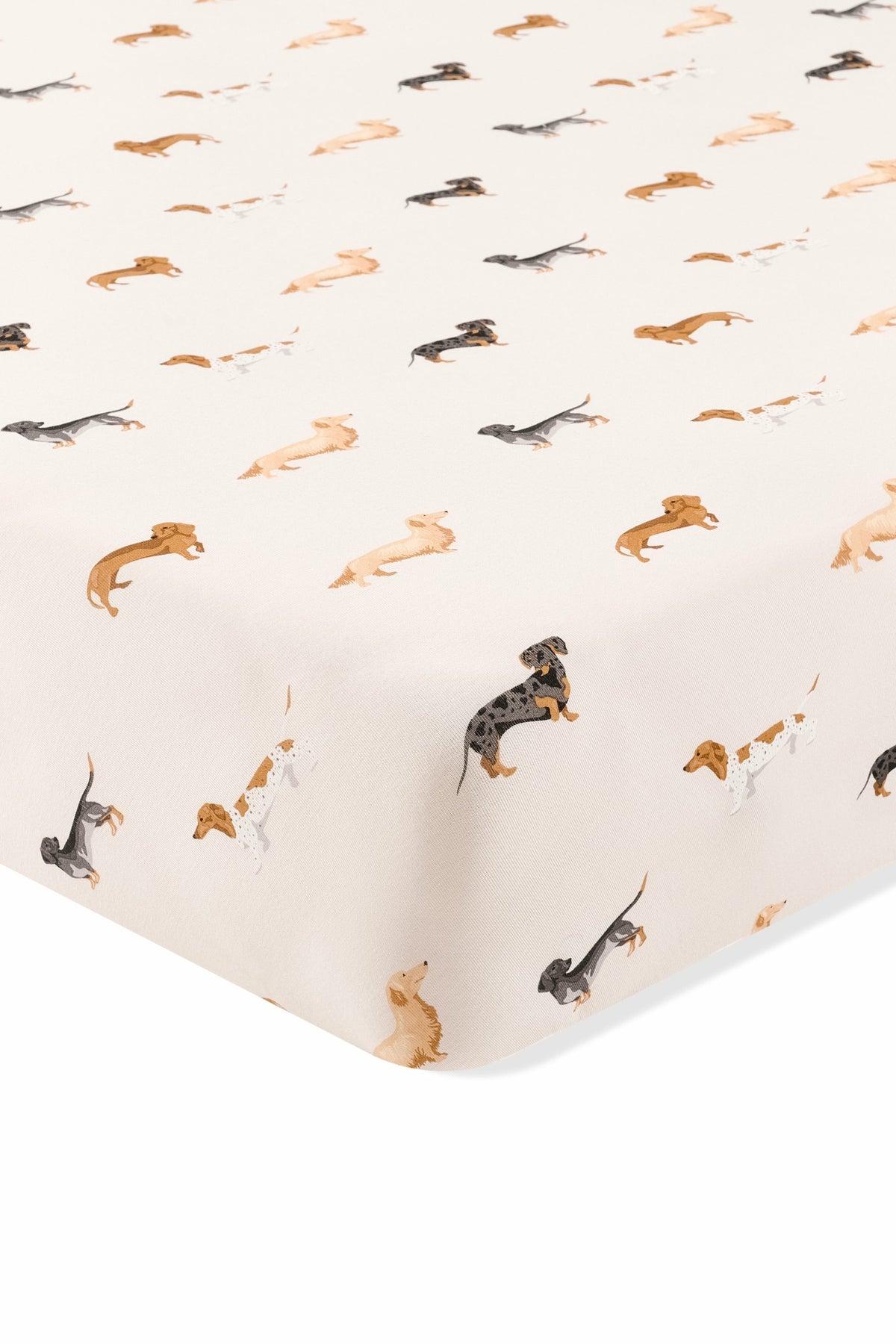 Kyte Baby Twin Sheet in Dachshund