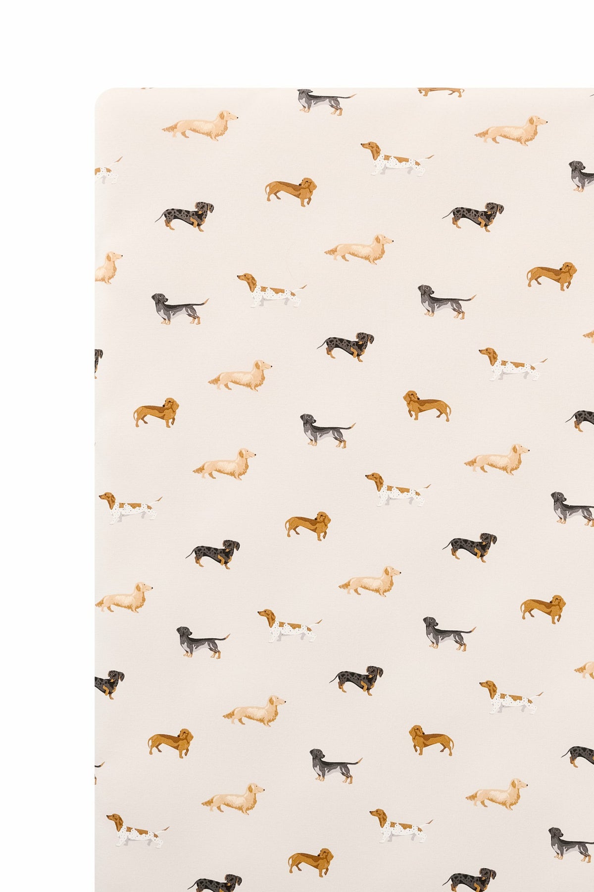 Kyte Baby Twin Sheet in Dachshund