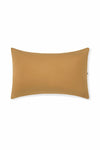 Ochre