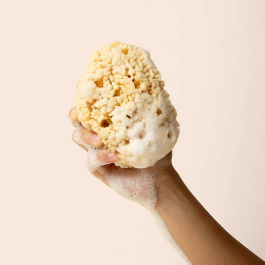 Kyte Baby Sea Sponge
