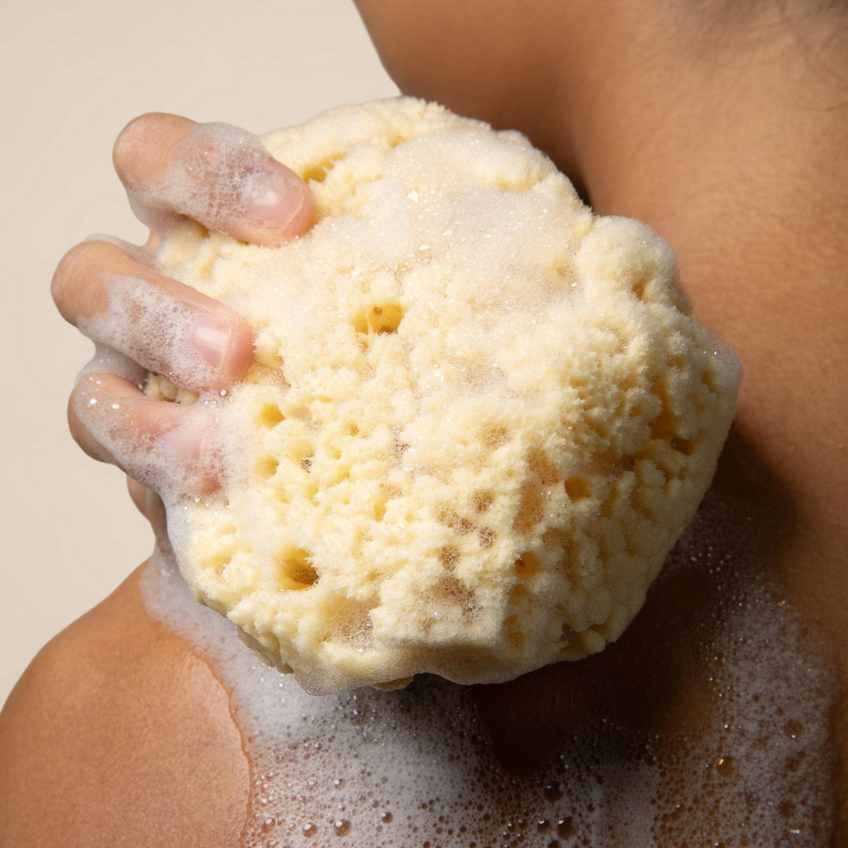 Kyte Baby Sea Sponge