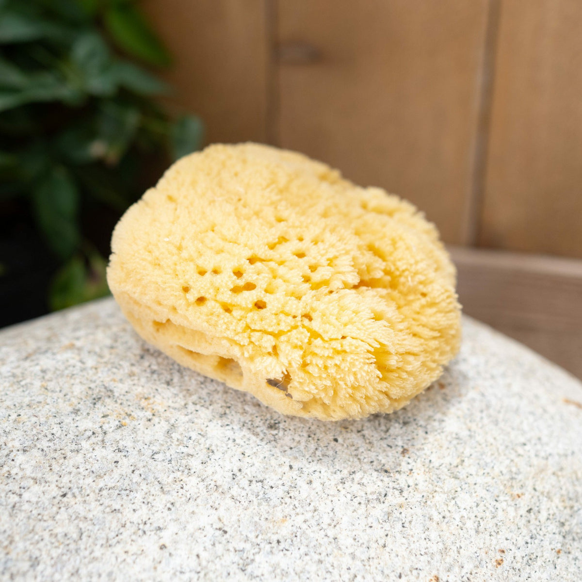 Kyte Baby Sea Sponge