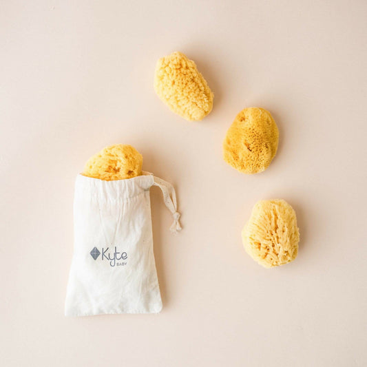 Kyte Baby Face Sea Sponge - 4 Pack Bundle