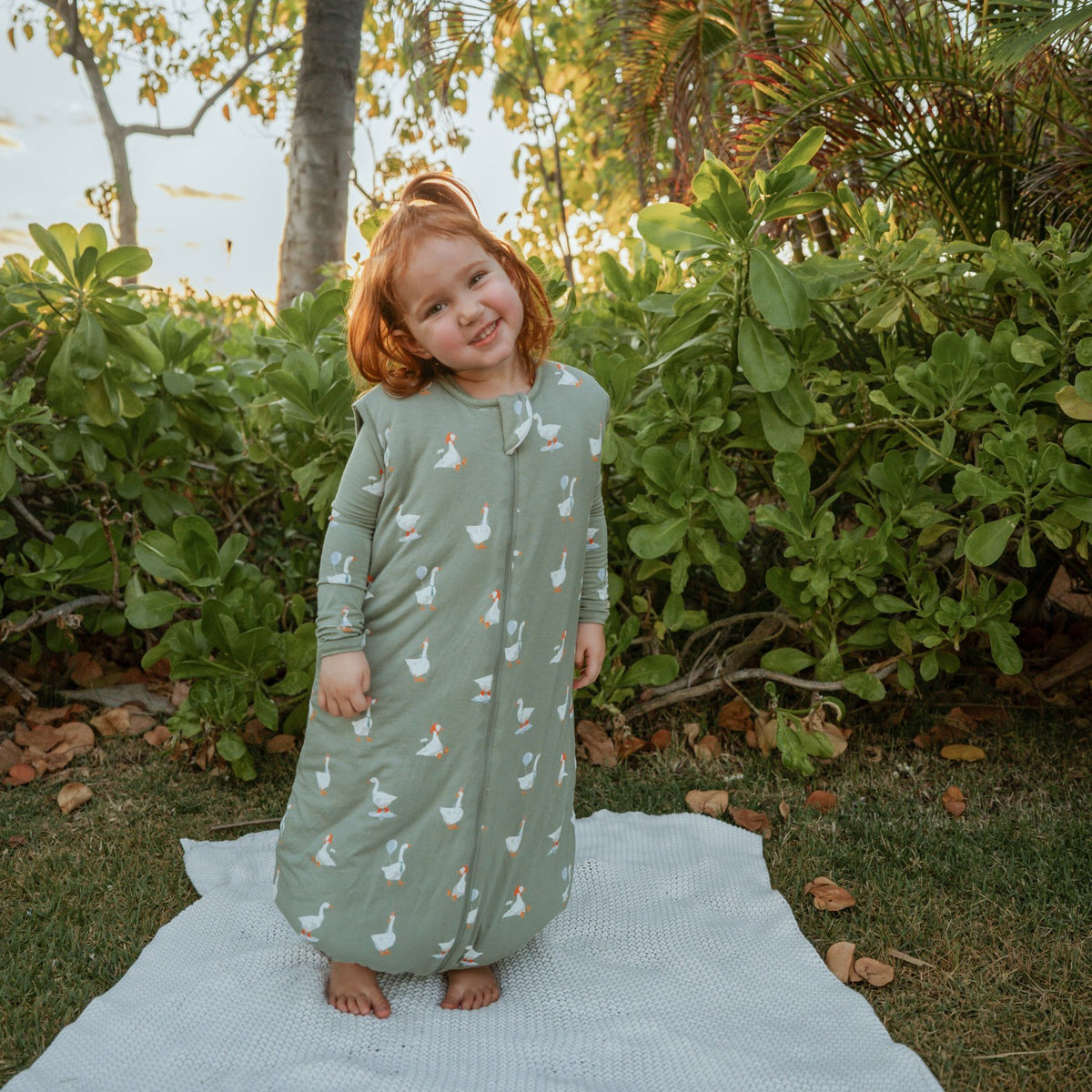 Kyte Baby Sleep Bag Walker in Silly Goose 2.5