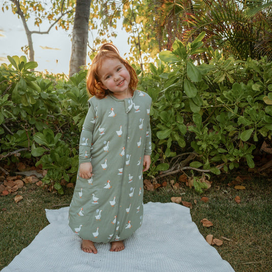 Kyte Baby Sleep Bag Walker in Silly Goose 2.5