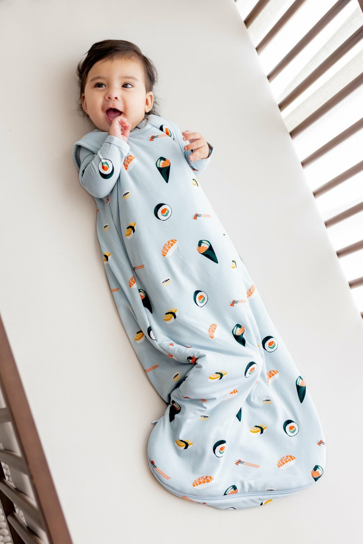 Kyte Baby Sleep Bag in Ice Sushi 1.0