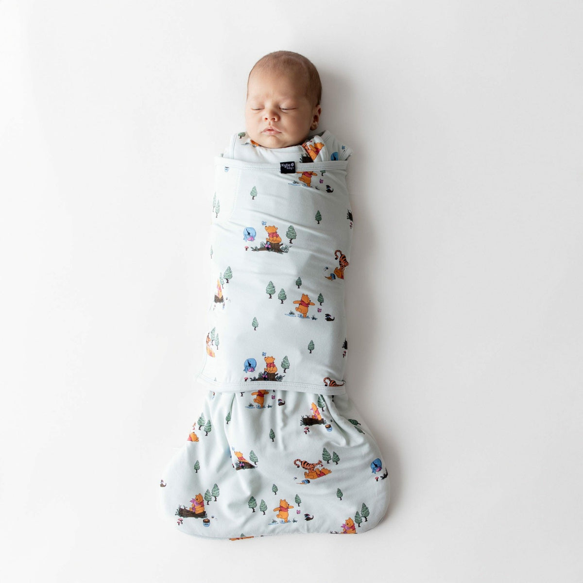 Kyte Baby Sleep Bag Swaddler in Winnie the Pooh Hundred Acre Wood 1.0