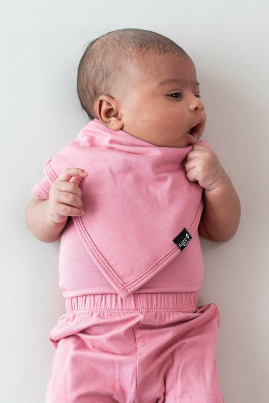 Kyte Baby Bib in Apple Blossom