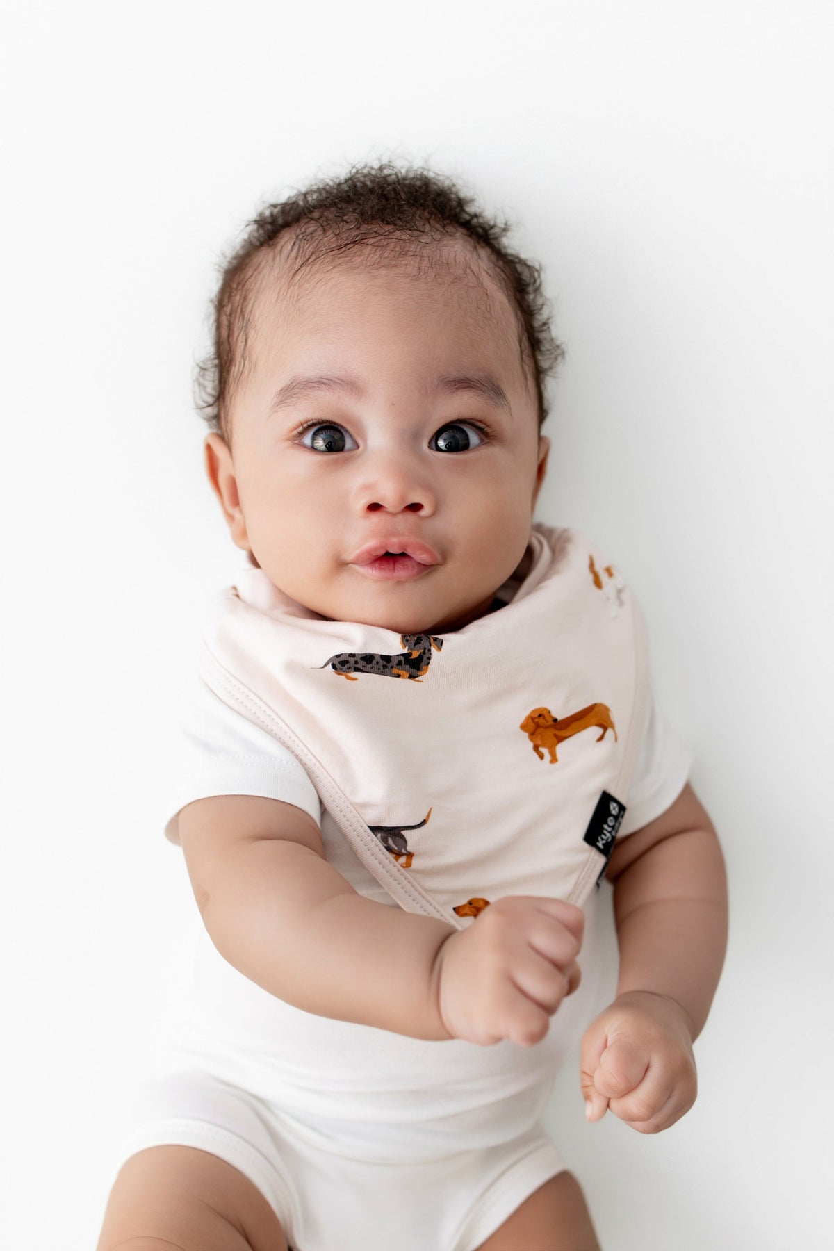 Kyte Baby Bib in Dachshund