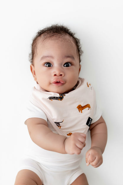 Kyte Baby Bib in Dachshund