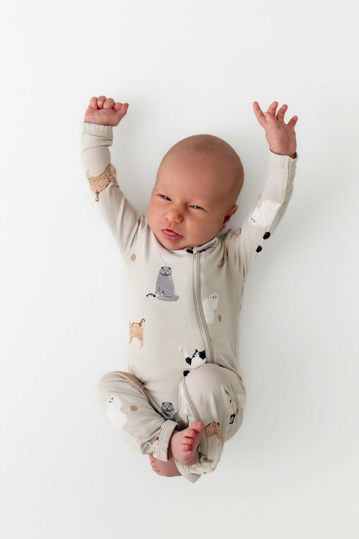 Kyte Baby Zippered Romper in Fluffy Cat