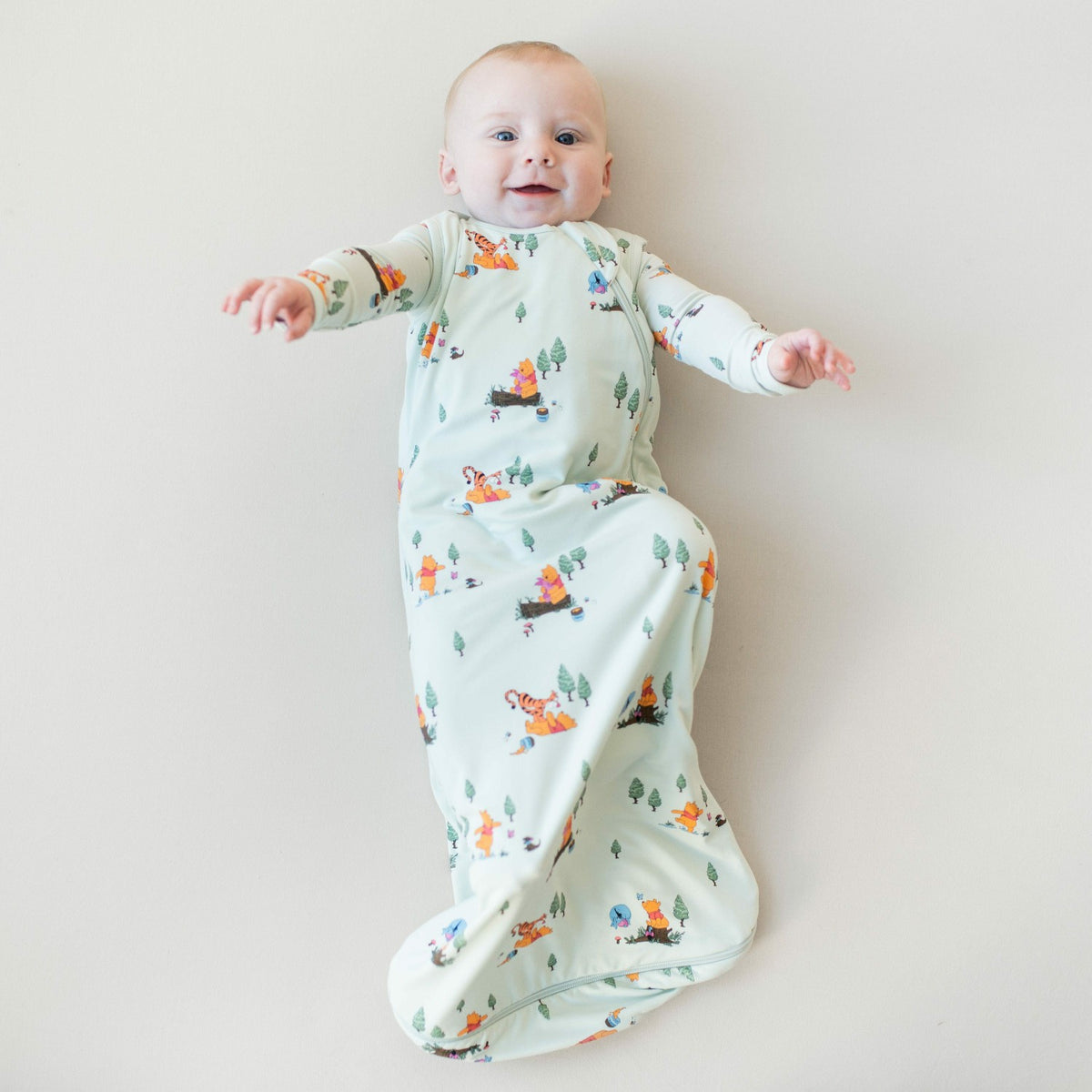 Kyte Baby Sleep Bag in Winnie the Pooh Hundred Acre Wood 0.5