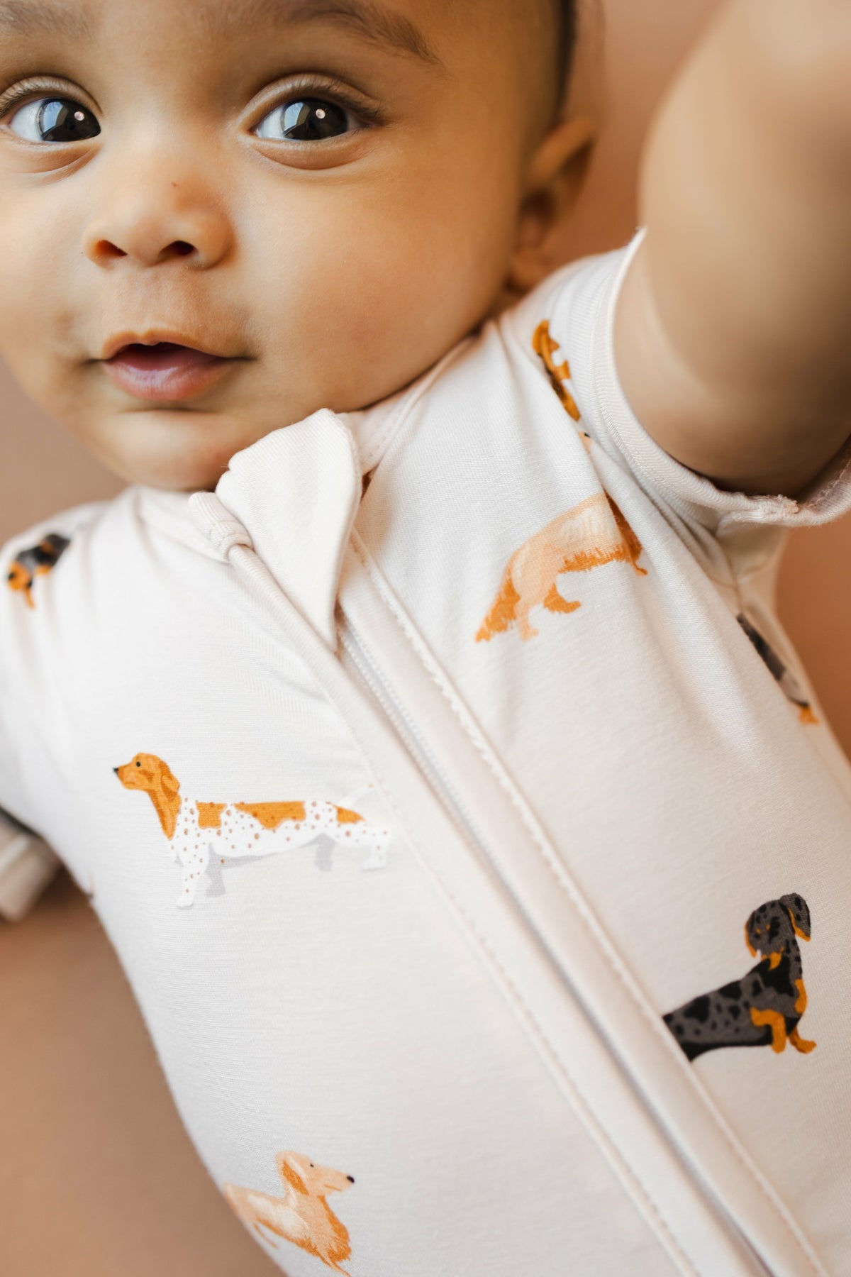 Kyte Baby Zipper Shortall Romper in Dachshund